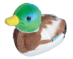 PATO MALLARD WILD REPUBLIC