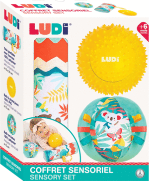 SET ROLLER Y PELOTAS LUDI