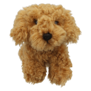 PERRITO COCKAPOO MINI WILBERRY