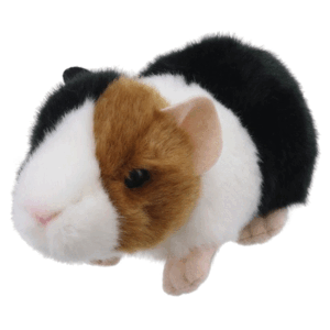CONEJILLO D INDIAS MINI WILBERRY