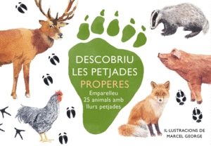 DESCOBRIU LES PETJADES PROPERES