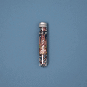 TUBO MICRO PUZZLE SAGRADA FAMILIA