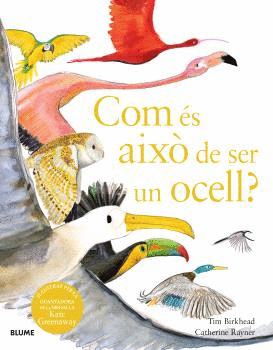 COM ÉS AIXÒ DE SER UN OCELL?