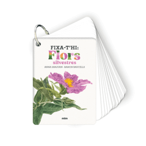 FIXA-T'HI: FLORS SILVESTRES