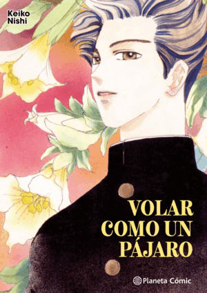 VOLAR COMO UN PAJARO