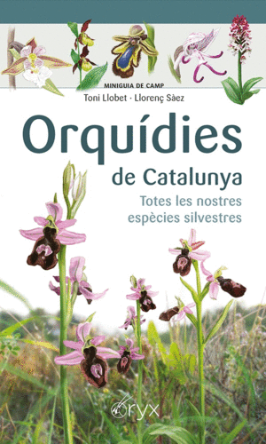 ORQUÍDIES DE CATALUNYA