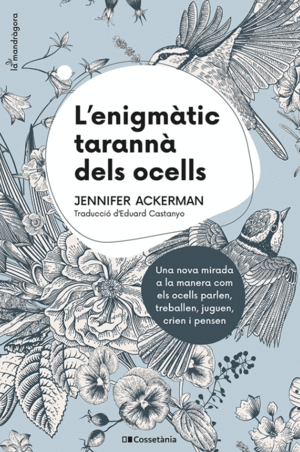 L'ENIGMÀTIC TARANNÀ DELS OCELLS