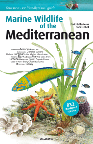 MEDITERRANEAN -MARINE WILDLIFE