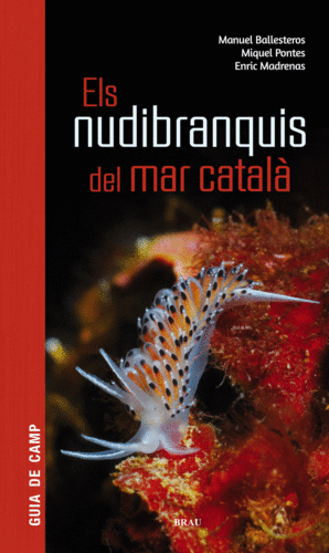 NUDIBRANQUIS DEL MAR CATALÀ, ELS