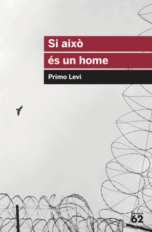 SI AIXÒ ÉS UN HOME