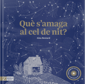QUÈ S'AMAGA AL CEL DE NIT