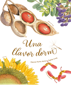 UNA LLAVOR DORM - CATALA