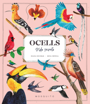 OCELLS