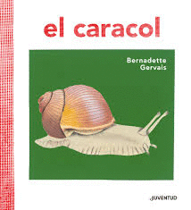 EL CARACOL
