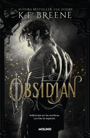 FAE DE LAS SOMBRAS, LOS 1. OBSIDIAN