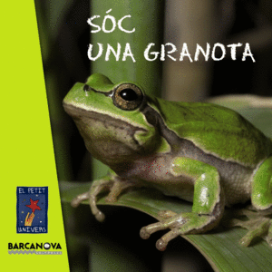 SÓC UNA GRANOTA