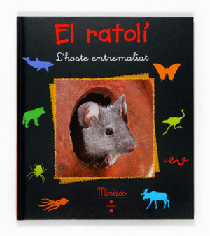 EL RATOLÍ