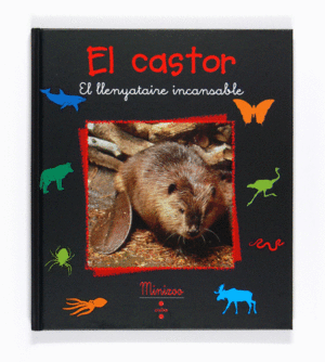 EL CASTOR