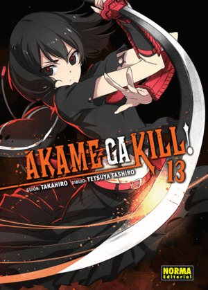 AKAME GA KILL! 13