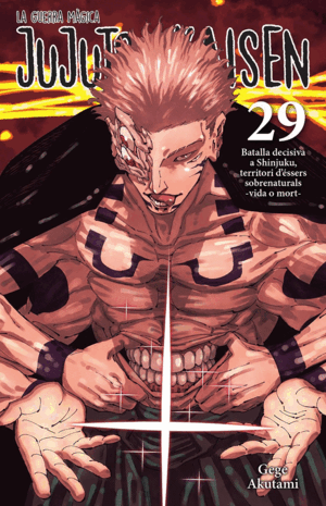 JUJUTSU KAISEN 29