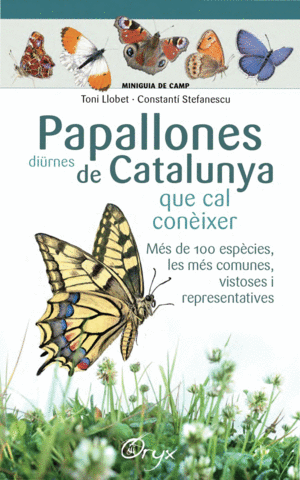 PAPALLONES DIURNES DE CATALUNYA