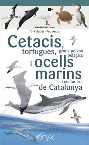 CETACIS, TORTUGUES, GRANS PEIXOS PELÀGICS I OCELLS